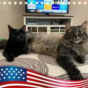 Meet your Posher, Jana